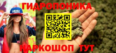 гидропоника Владивосток