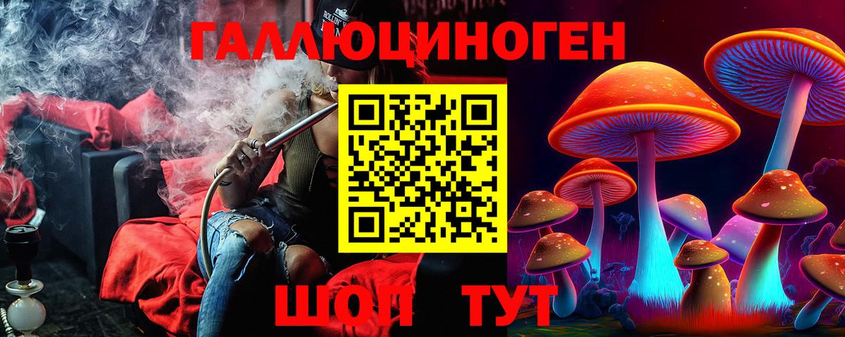 Галлюциногенные грибы GOLDEN TEACHER  Галлюциногенные грибы мухоморы  Избербаш  Вход с VPN 